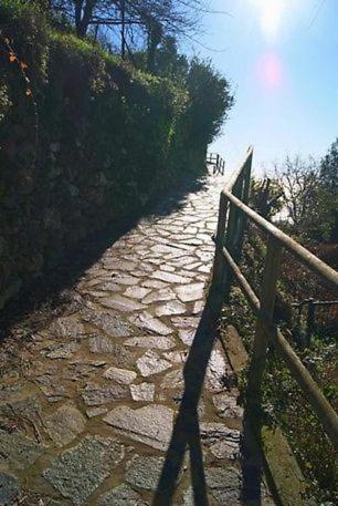 Ferienwohnung Trekking And Relax - Maremonti - Homy 5 Terre Vernazza Exterior foto